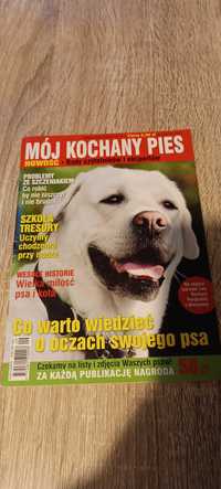 Mój kochany pies kieszonkowa gazetka 9/2010