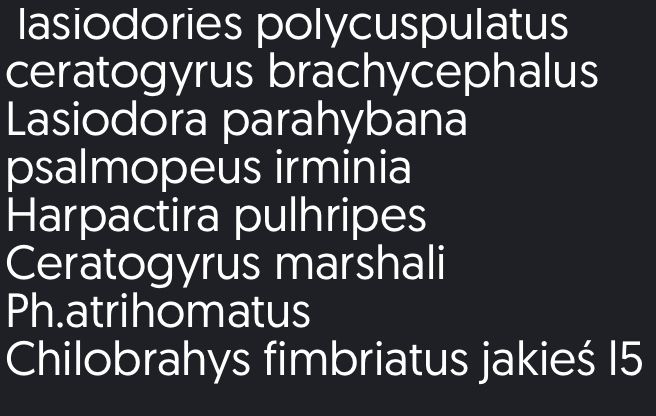 Samice podorstki mlode
