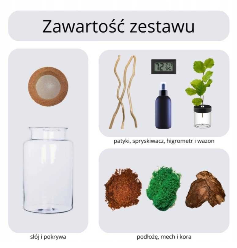 Terarium dla patyczaka