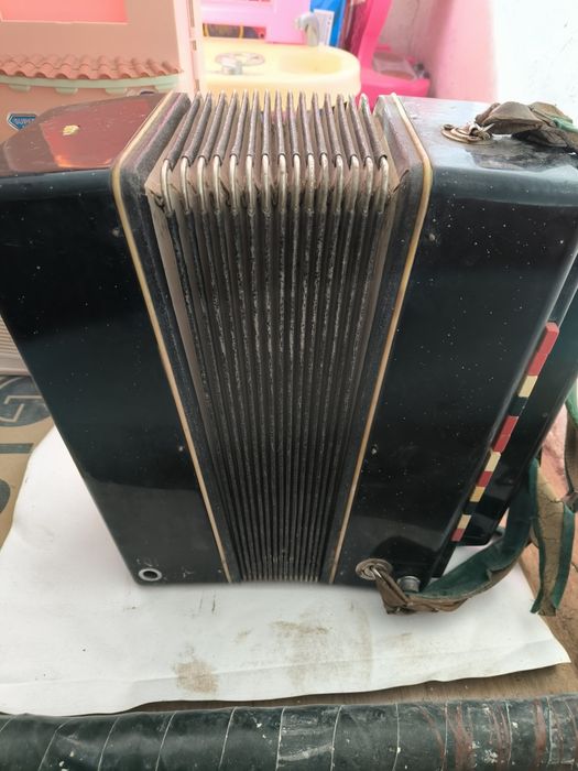 Электробаян Мечта