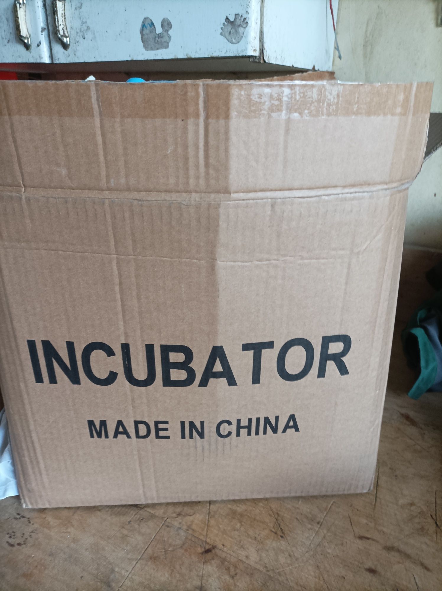 Automatyczny inkubator(klujnik)do ja.j