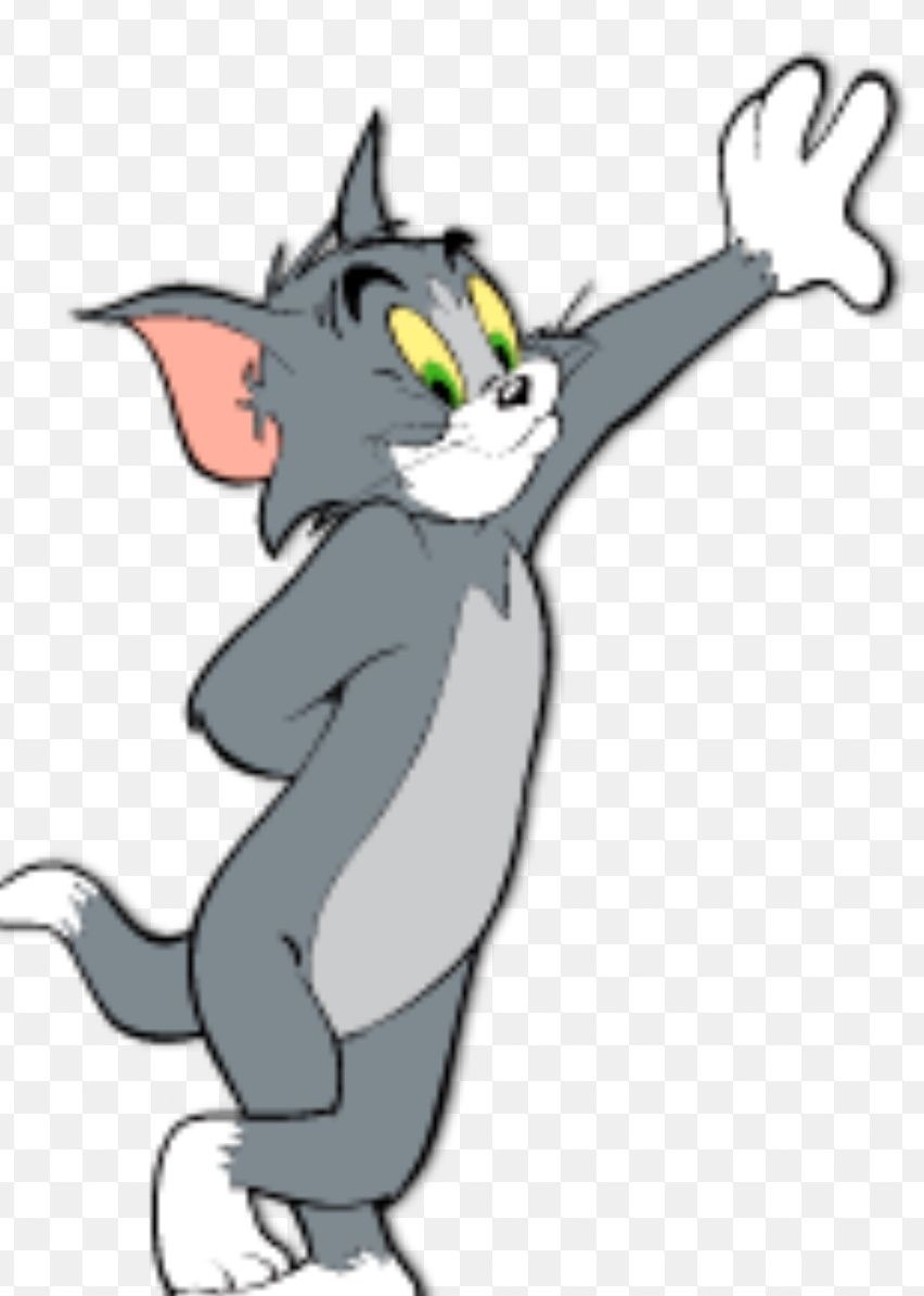 Maskotka pluszak z bajki Disney - Tom i Jerry.