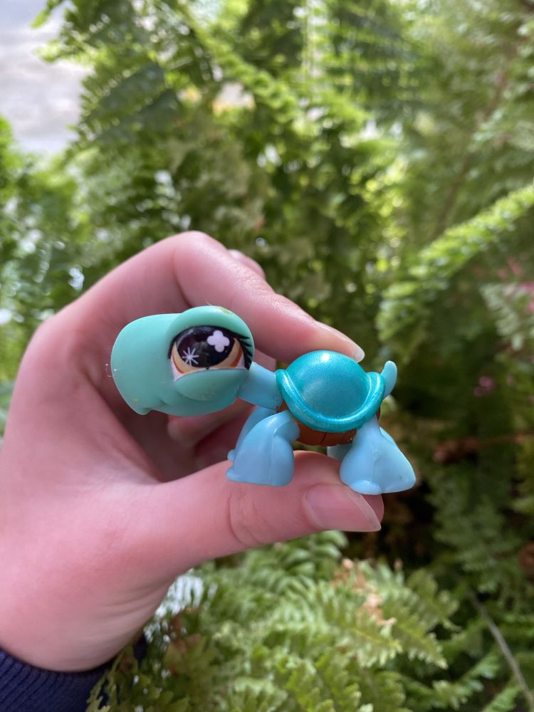 LPS Littlest pet shop żółw #892