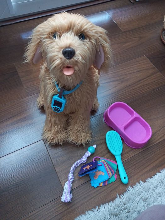 Sprzedam pieska Piksel interaktywny, jak nowy