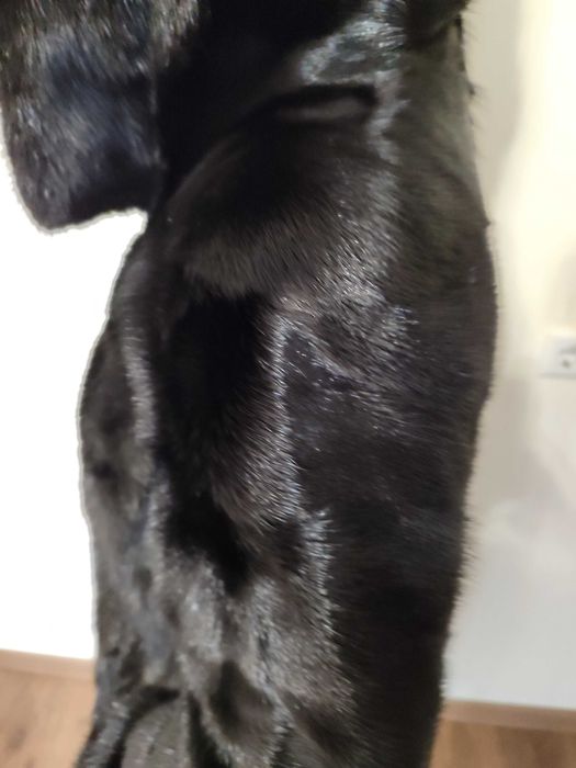 Продам Норкову шубу