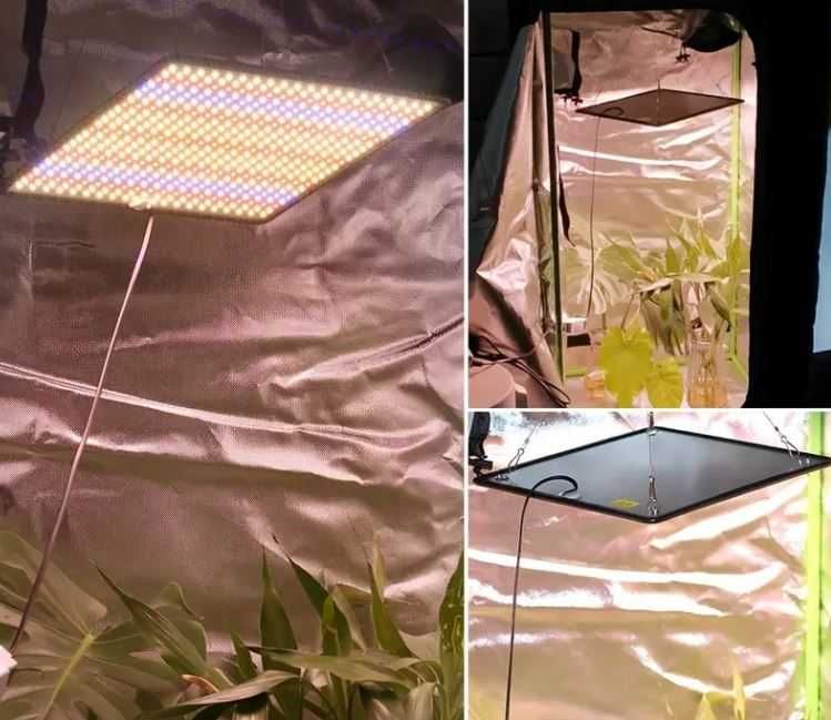 Luz Led para plantas, flores ou cultivo NOVO
