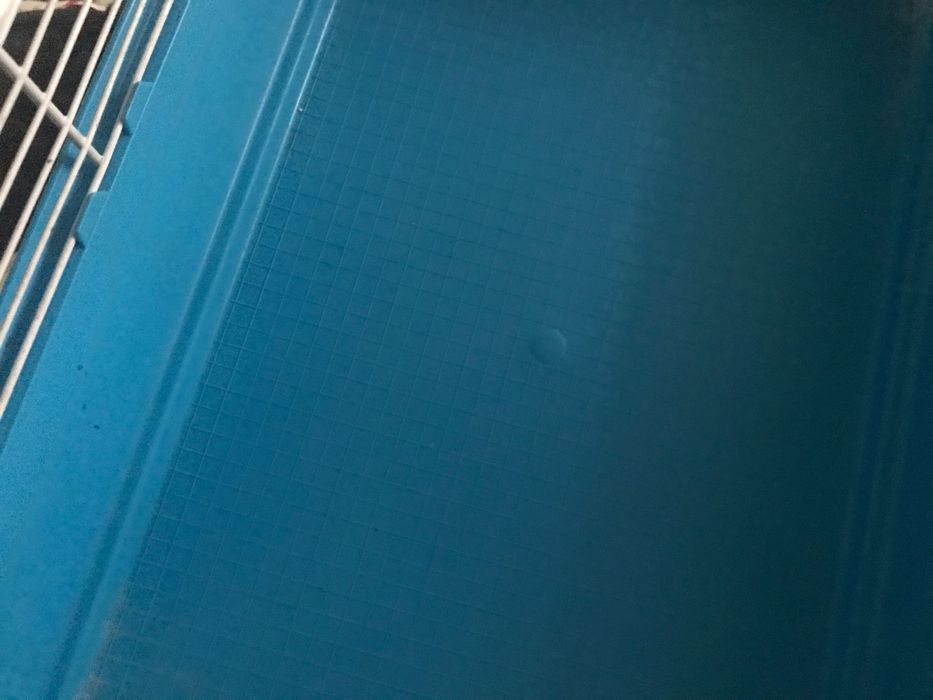 Клітка для гризунів