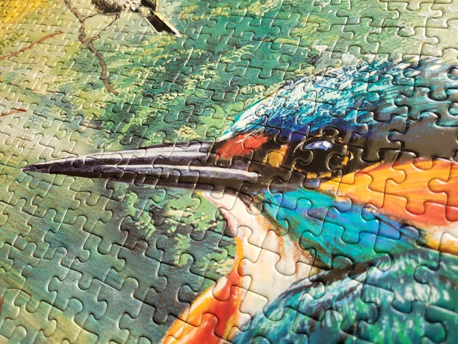 Otter House 1000, Nature Reserve nr 75805, zimorodek, kaczki, jezoro