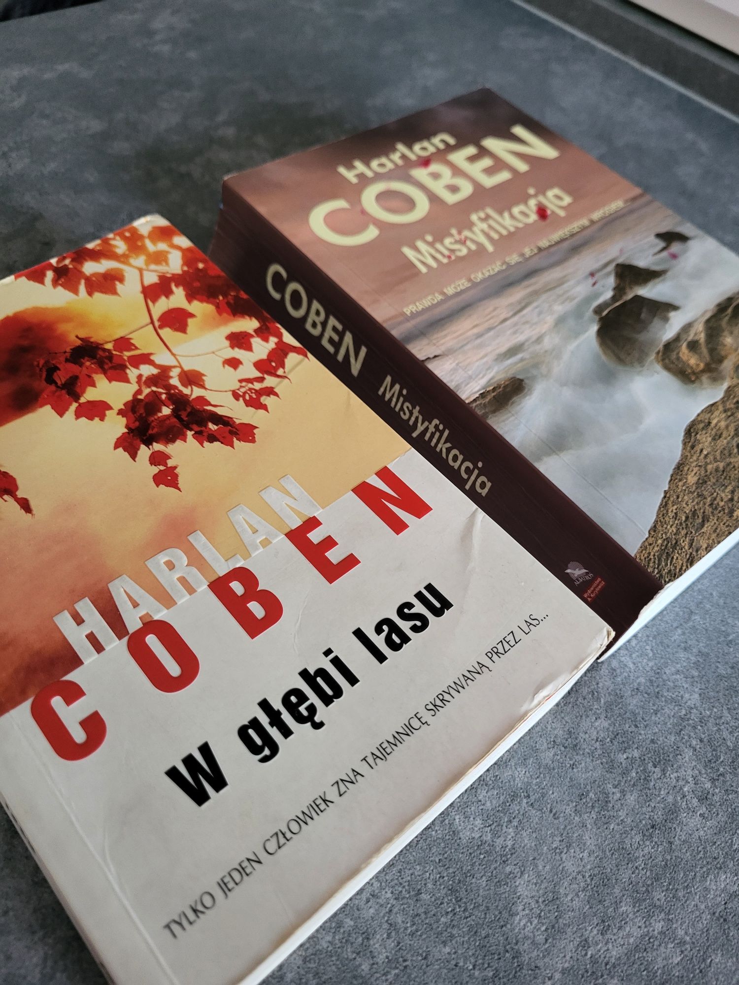 Harlan Coben - W głębi lasu, Mistyfikacja