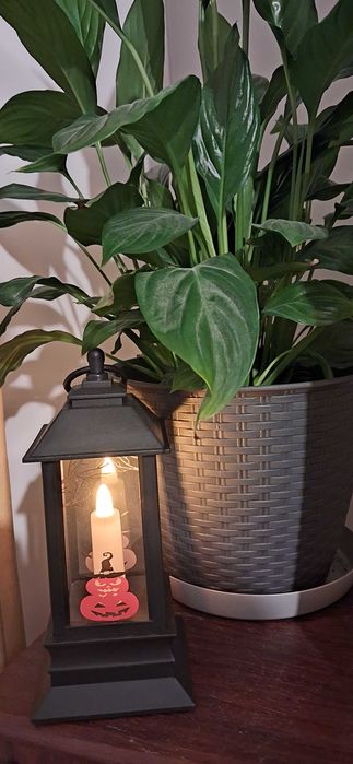 Zdjęcie lampki hallowenowskiej