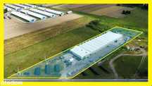 Na sprzedaż działająca pieczarkarnia Siedlce, 3800m2 produkcji