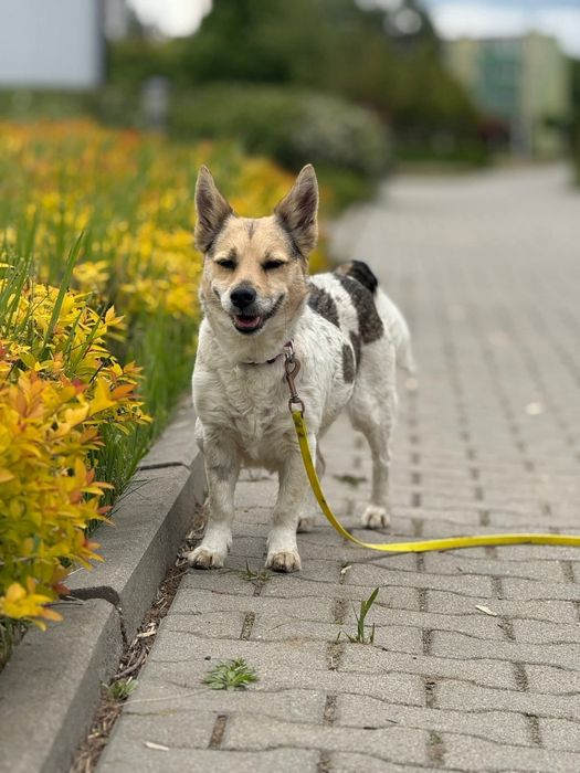 Urocza Tosia czeka na Ciebie