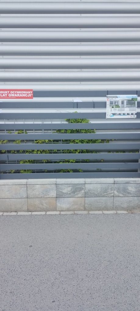 Sprzedam przęsła ogrodzeniowe wzór Dorian antracyt