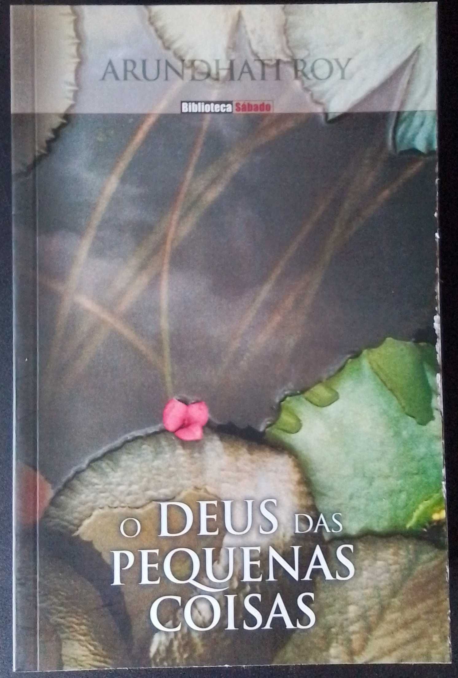 Pack de 5 livros de autores anglófonos