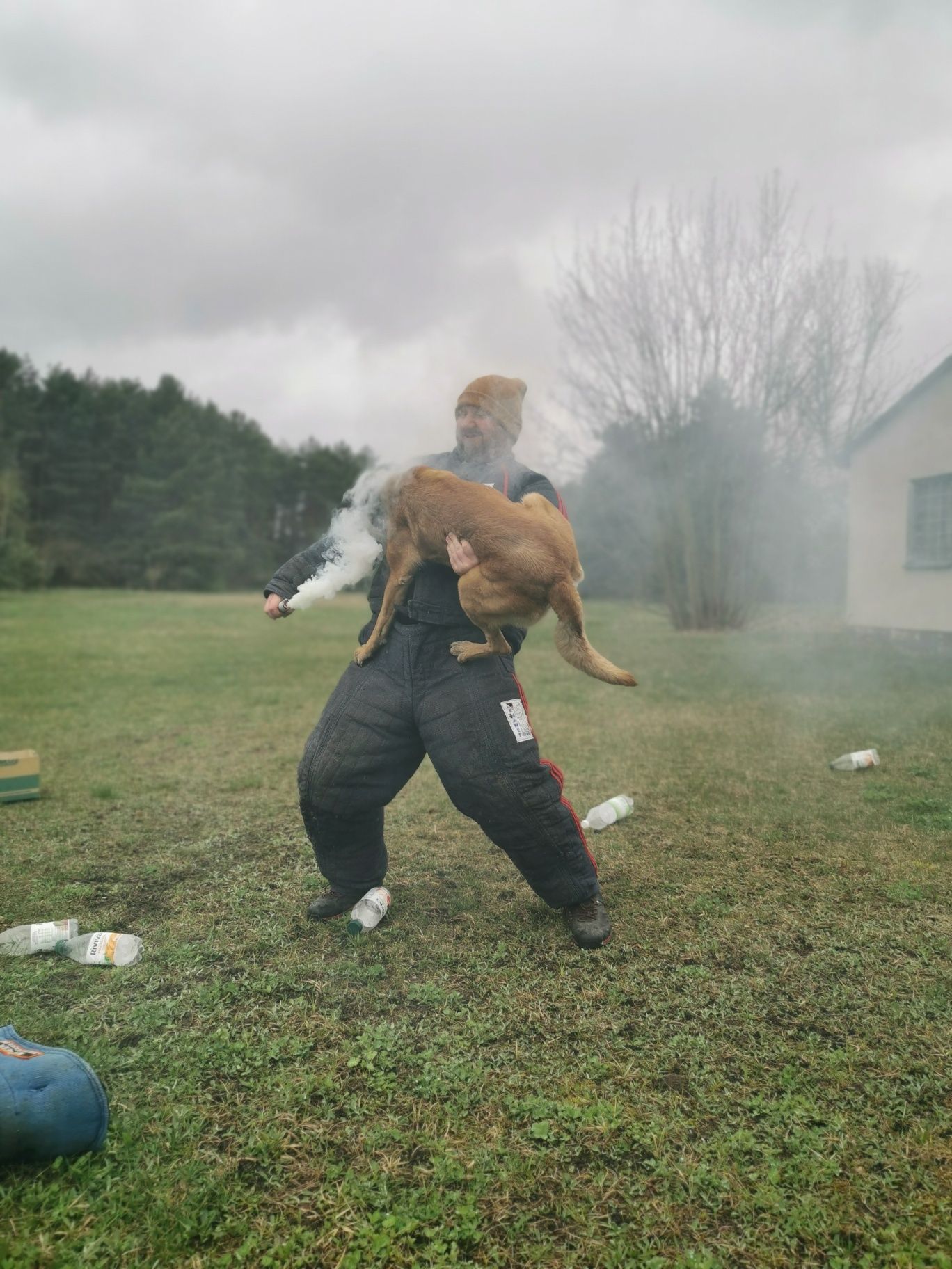 Owczarek belgijski Malinois