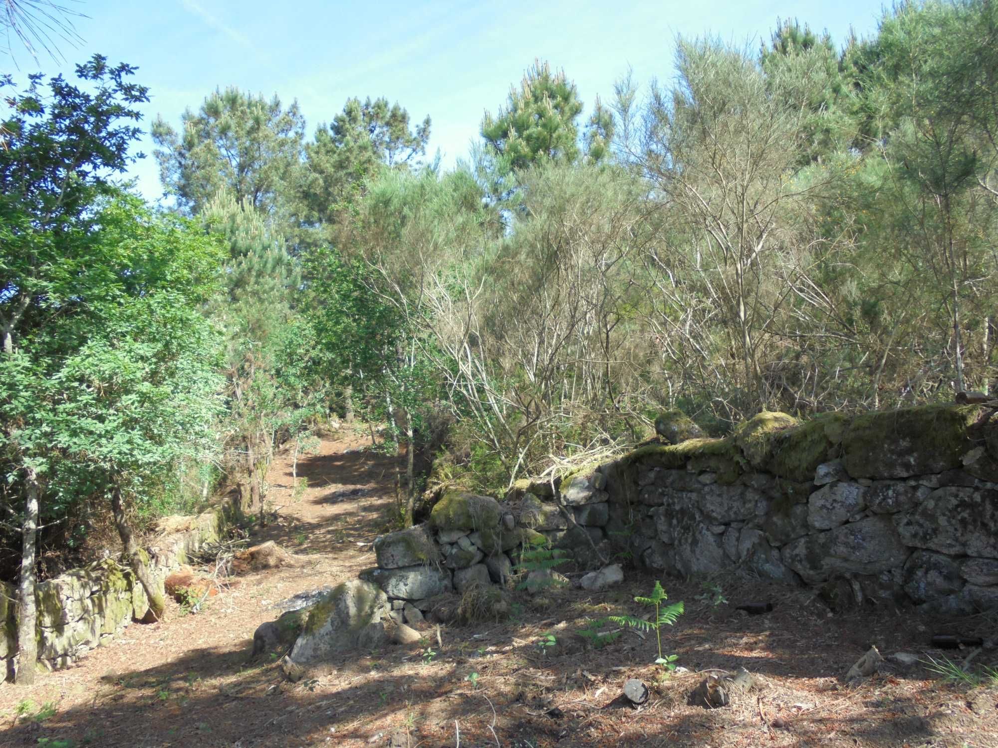 Terreno no Soajo