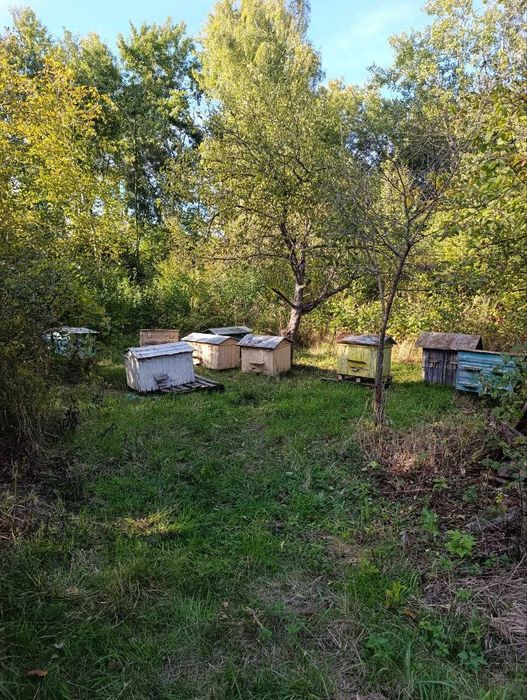 Продаж дачної ділянки с. Ков'ярі