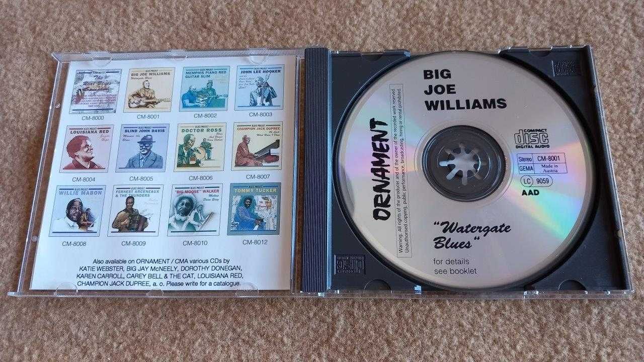 Big Joe Williams - Album: "Watergate Blues"