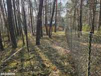Działka nad Bugiem, Mierzwice-Kolonia, AL. Leśna