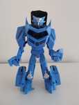 Robot Champion Transformers