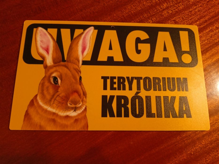 Tabliczka królika