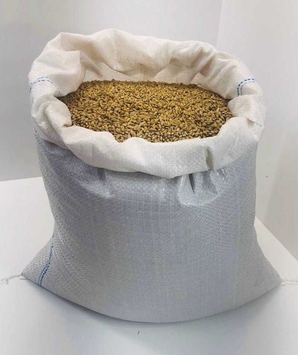 Jęczmień Warmiński na Oborniku bez Glifosatu 20 KG