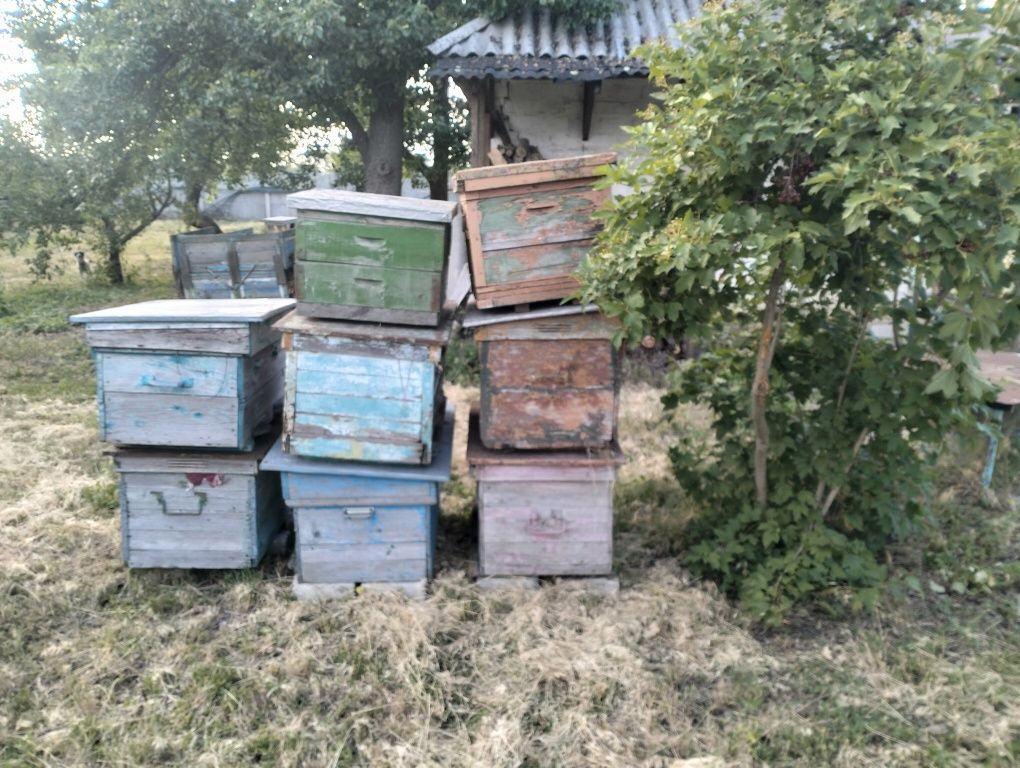 Продам улья "лежаки".