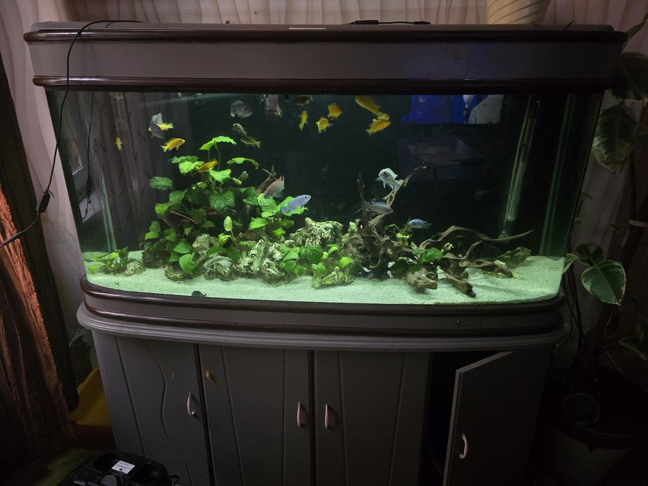 Akwarium 500l profilowane