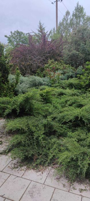 Участок с домом с видом на лиман  в 42 км от Одессы