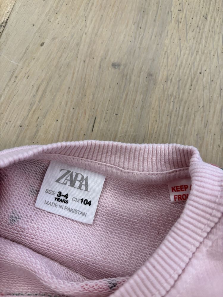 Bluza arbuzy Zara 104