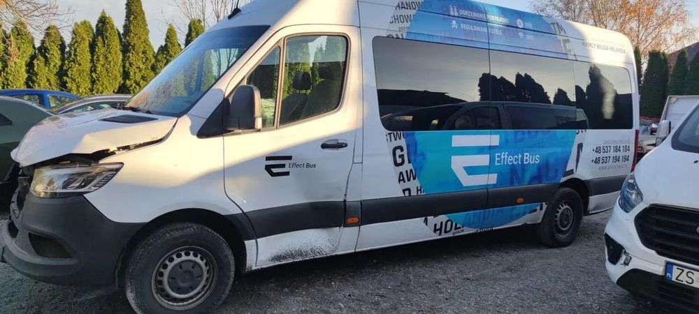 Mercedes-Benz Sprinter Mercedes Sprinter 319cdi VIP 9 os extra long 2023r/09