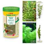 Pack de Sera Guppy Gran Nature (120g) + 20 Plantas Aquário "Low Tech"