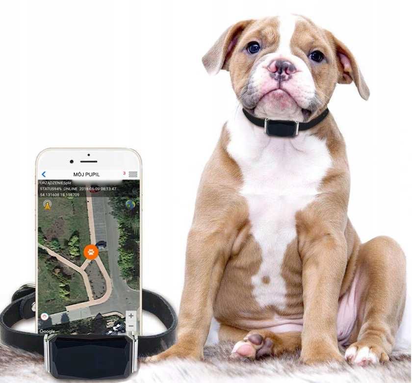Nowoczesny LOKALIZATOR GPS Obroża Dla Kota Psa Polska Aplikacja OKAZJA
