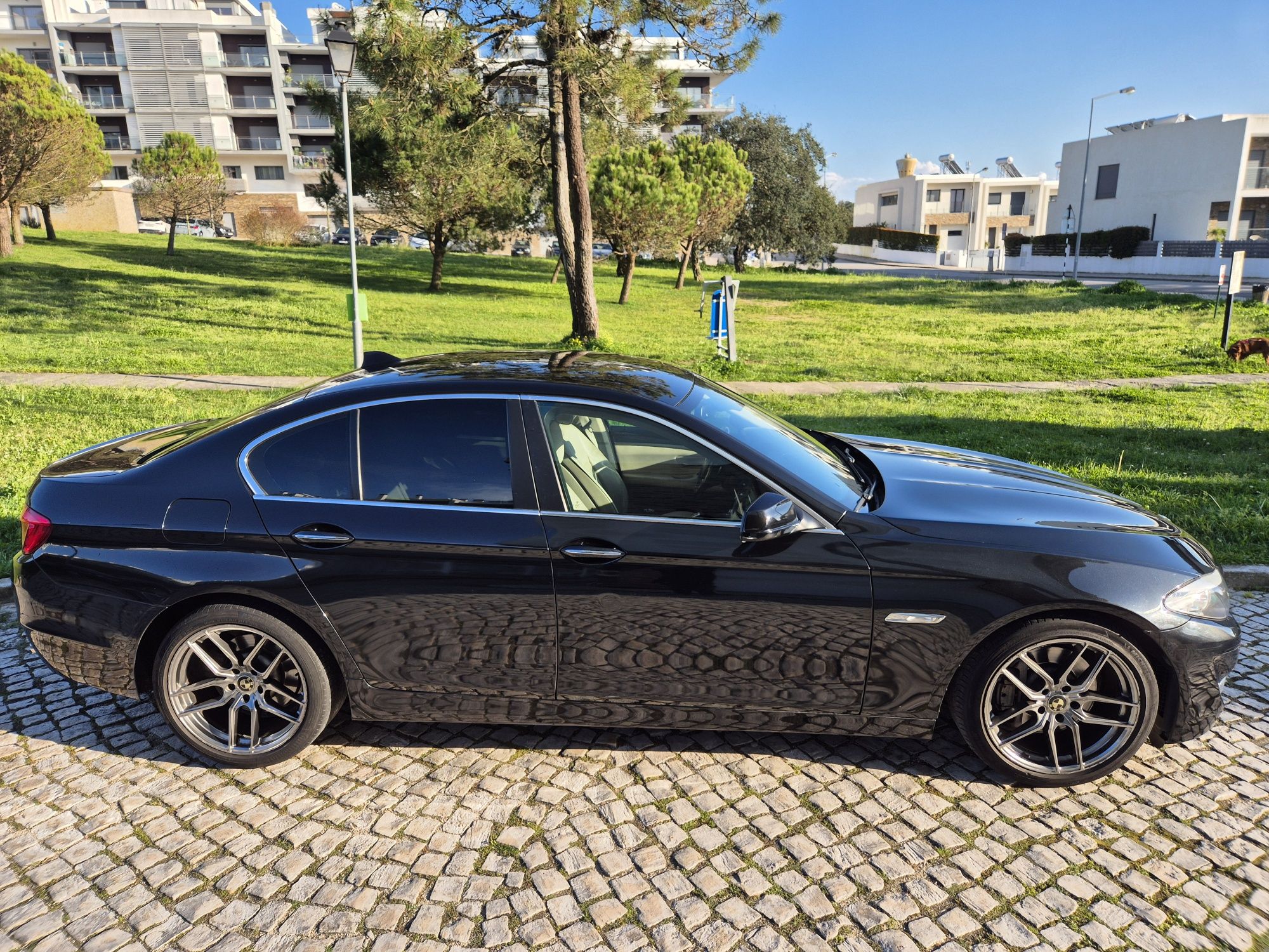 BMW 525d 218cv biturbo