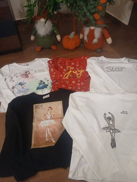 Mega paka ubrań dla dziewczynki na jesień, zimę i wiosnę r.134/140