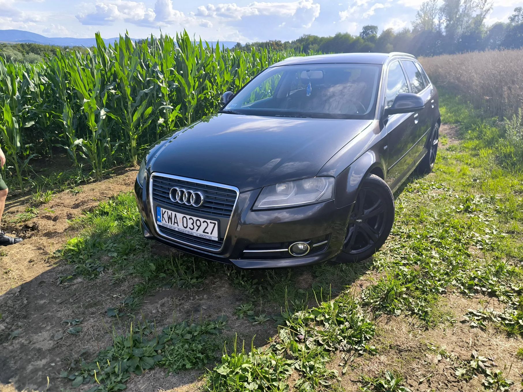 Audi A3 Audi A3 8P 1.8 TFSI