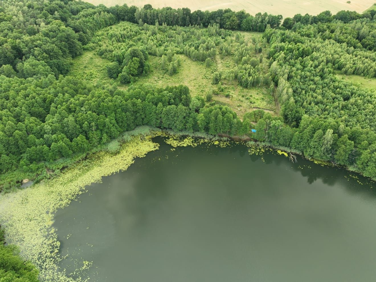 Piękna działka nad jeziorem. Otoczona lasem.