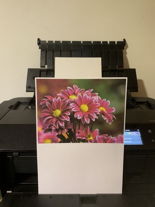 Impressora Canon ImagePROGRAF PRO-300