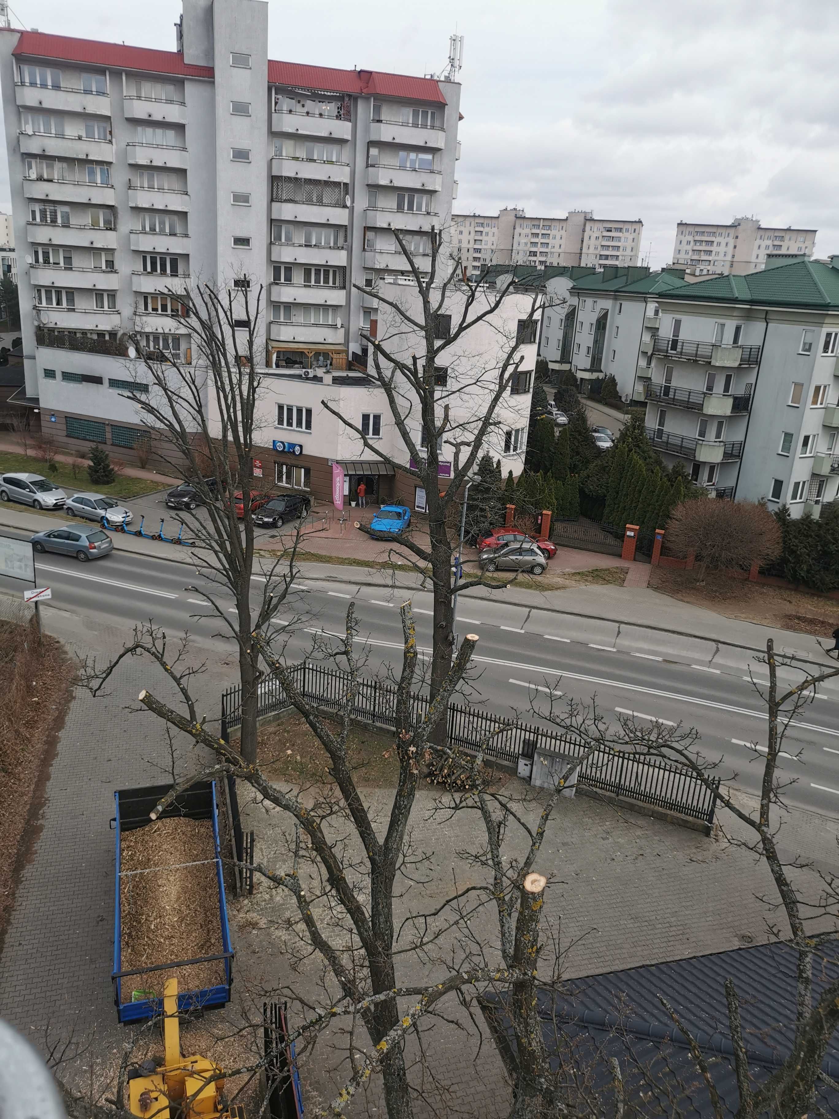 Kompleksowa wycinka drzew | Frezowanie karp, pni, korzeni