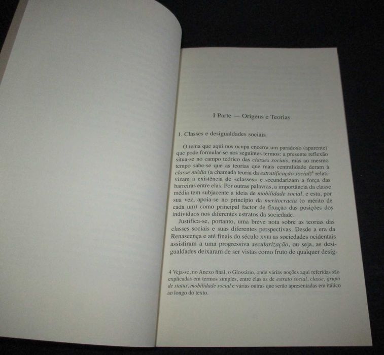Livro A Classe Média Ascensão e Declínio Elísio Estanque FFMS