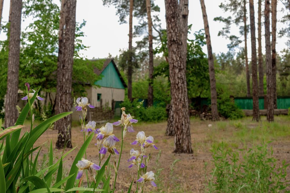 Продам діючу базу відпочинку