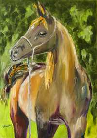 Obraz olejny - Koń. 70x50