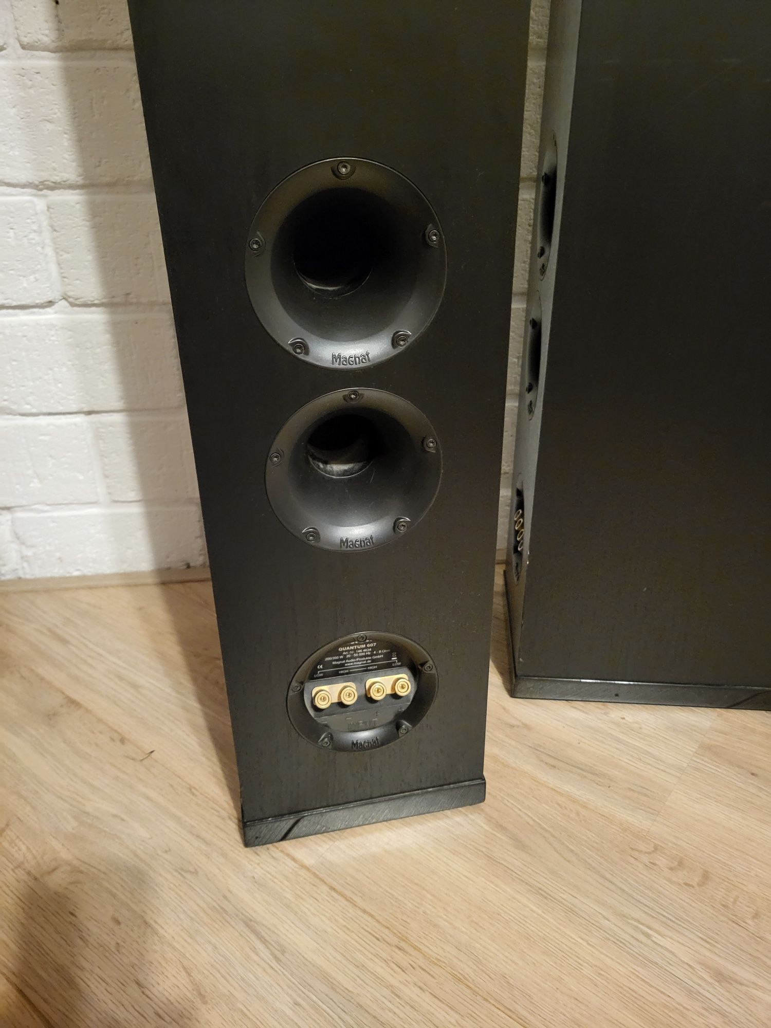 Акустика Magnat Quantum 607