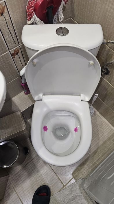 Za darmo Toaleta WC, umywalka, prysznic, lustro