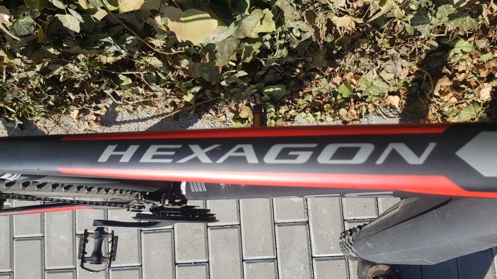 Rower kross hexagon 6
