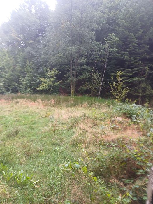 Działka Sygneczów