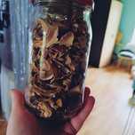 Borowik ceglasty