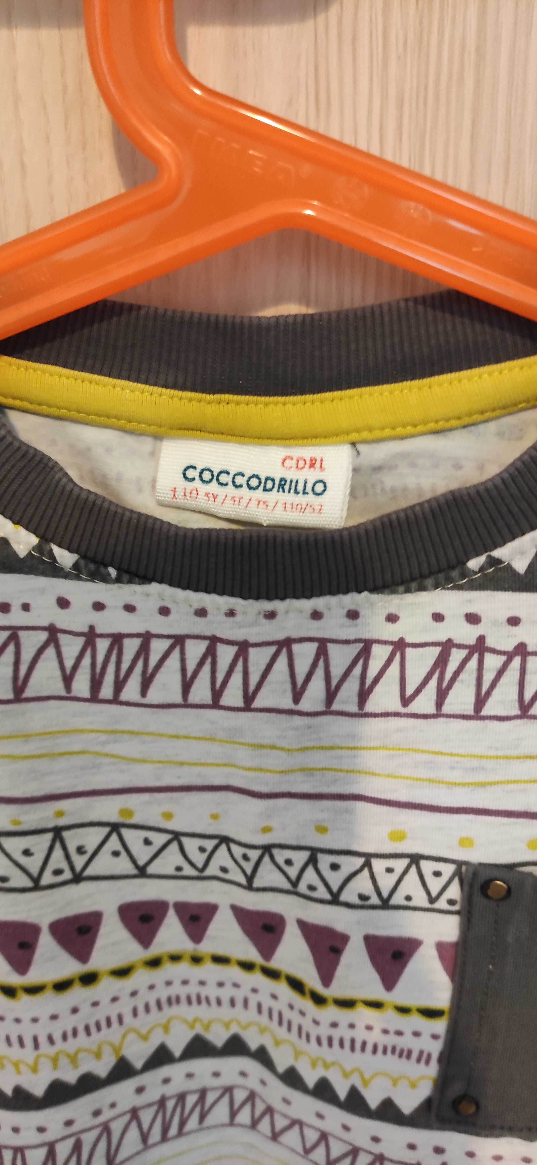 Bluzka chłopięca Coccodrillo 110 cm 5 lat
