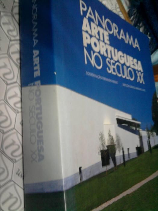 Panorama da Arte Portuguesa no Século XX