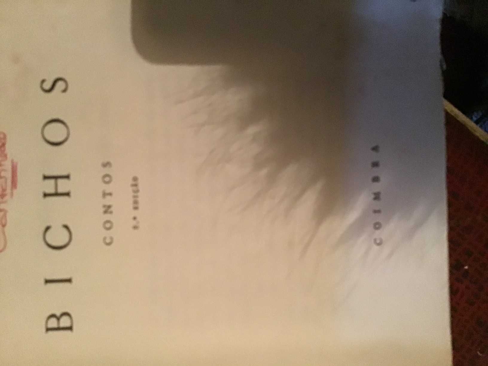 livro bichos contos